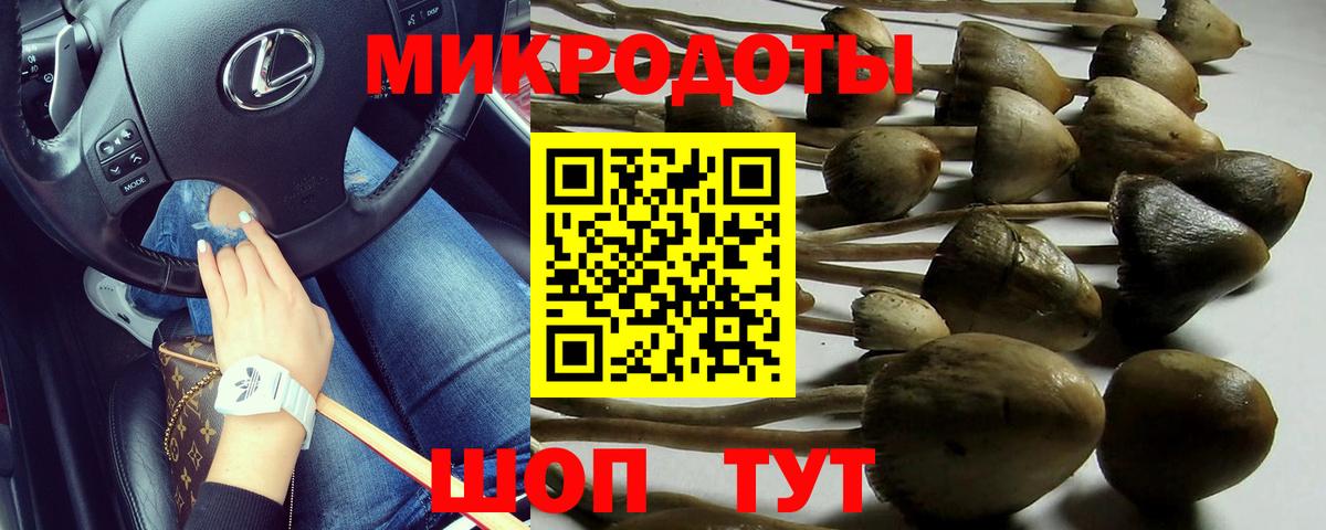 Углич  Галлюциногенные грибы прущие грибы  Вход с VPN 